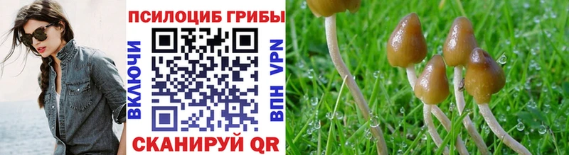 Псилоцибиновые грибы GOLDEN TEACHER Шумерля